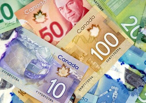 What to know about Management Fees!
